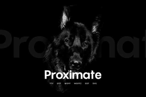 Proximate: A Bold Font for Modern Design